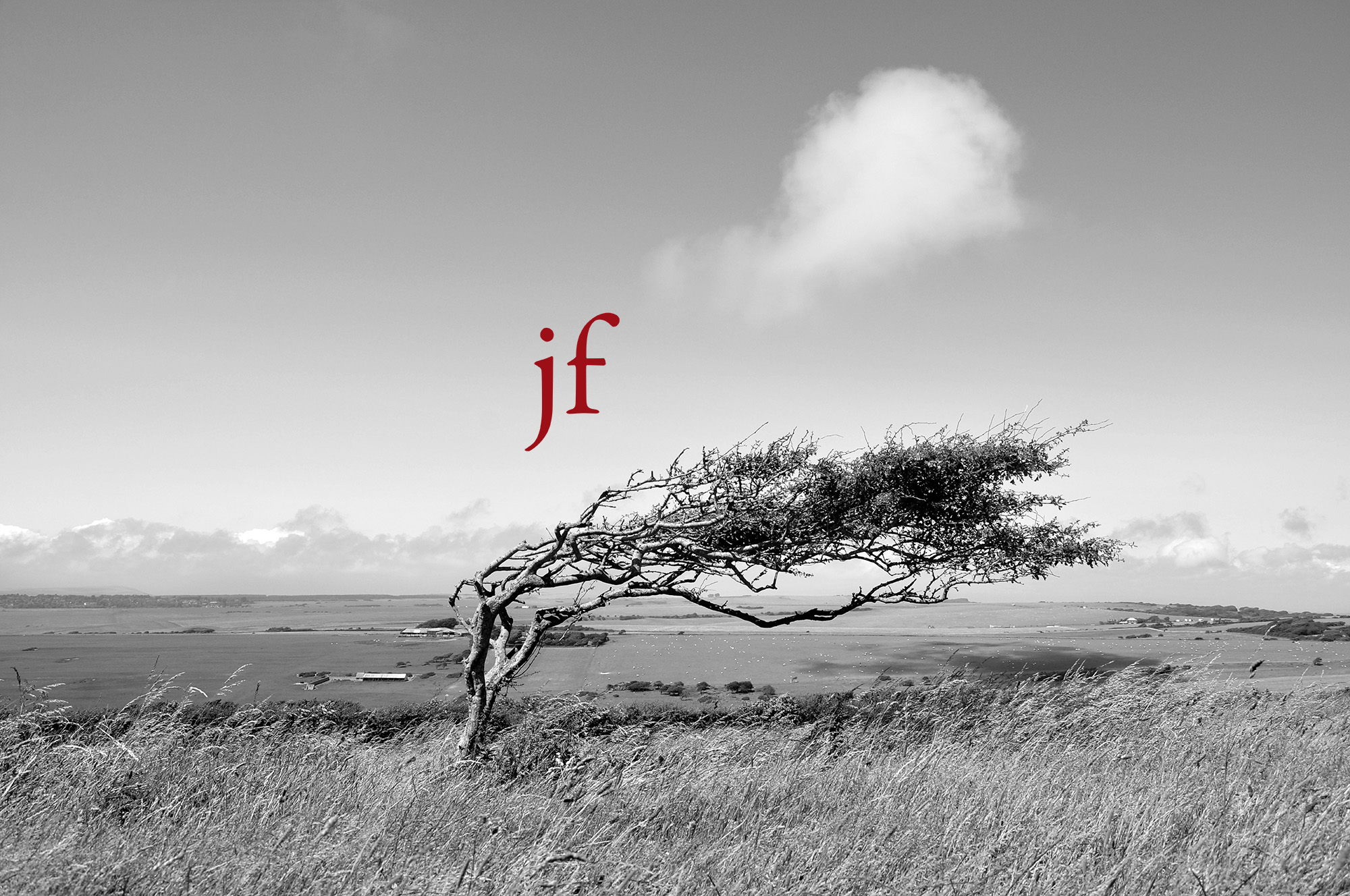 Jean-François Moulin